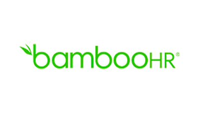 bamboo blog post featured image